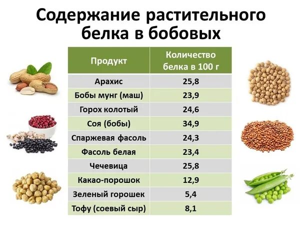 Содержится и в растительных и. Растительная пища с высоким содержанием белка таблица. белок в растительных продуктах таблица. сколько белка в бобовых. белки растительного происхождения таблица.