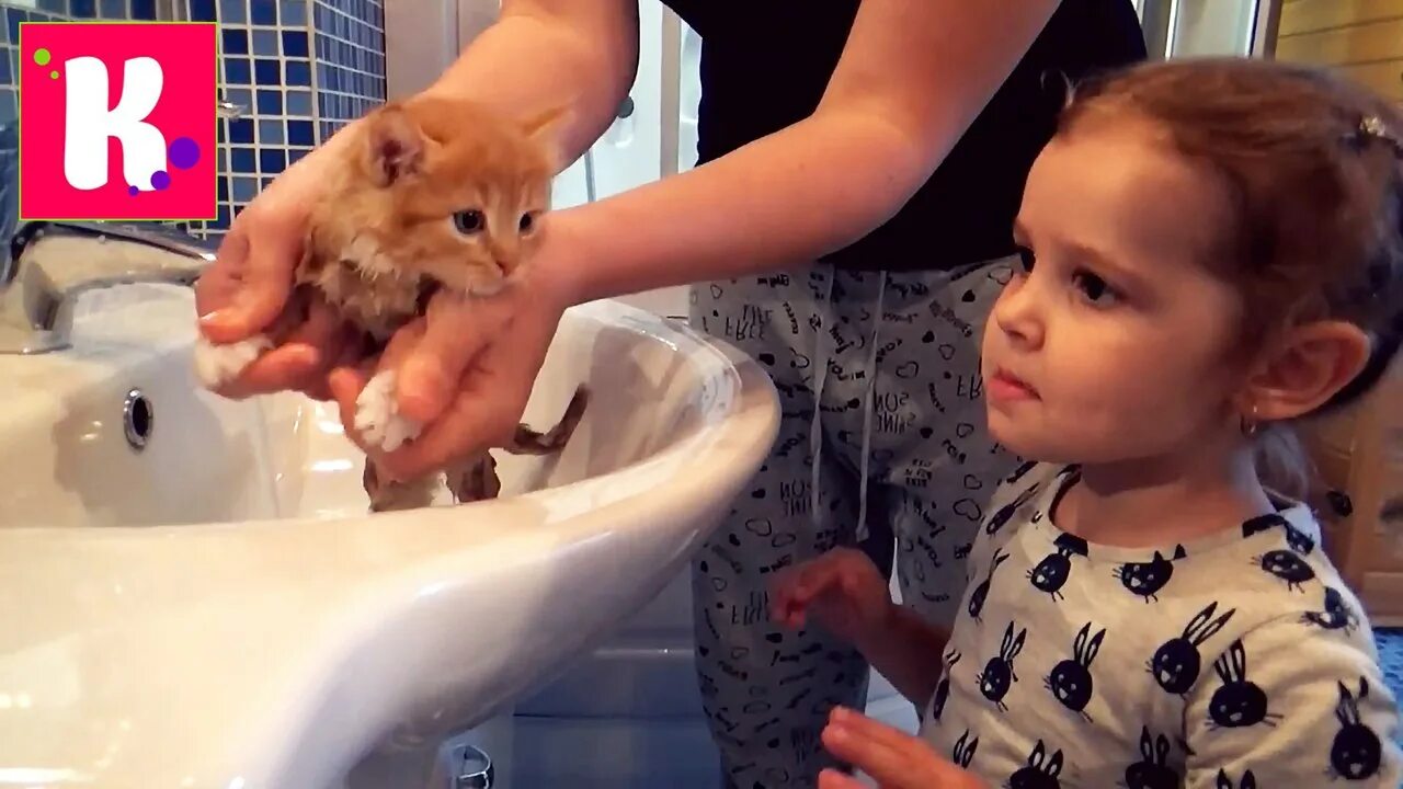 Нюся тв. Катя и макс катя и макс катя и макс катя и макс. Мисс кейти челлендж мороженое. Катя и макс 24 часа. Катя и макс.