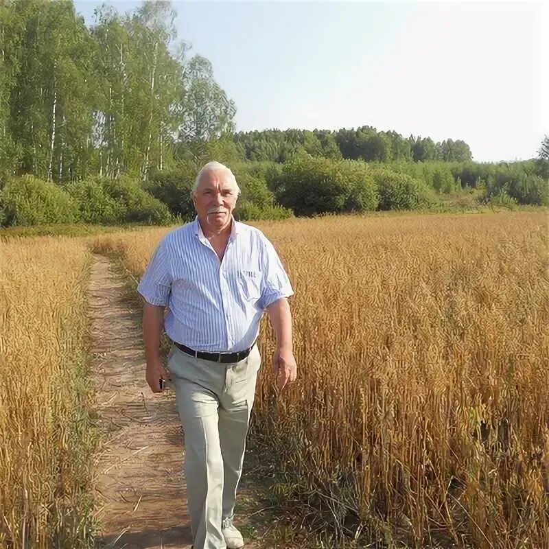 Мягчилов одноклассники. Мягчилов одноклассники
