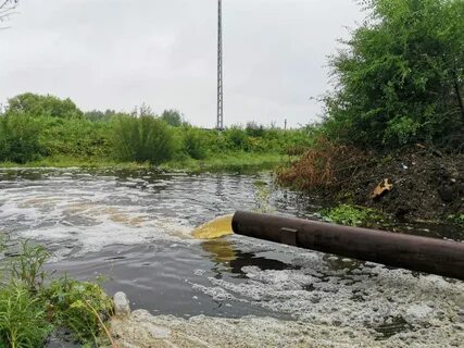 Уровень биры в биробиджане на сегодня