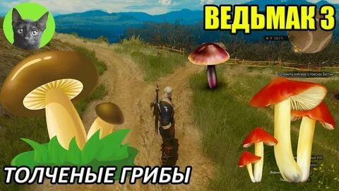 Грибы маша