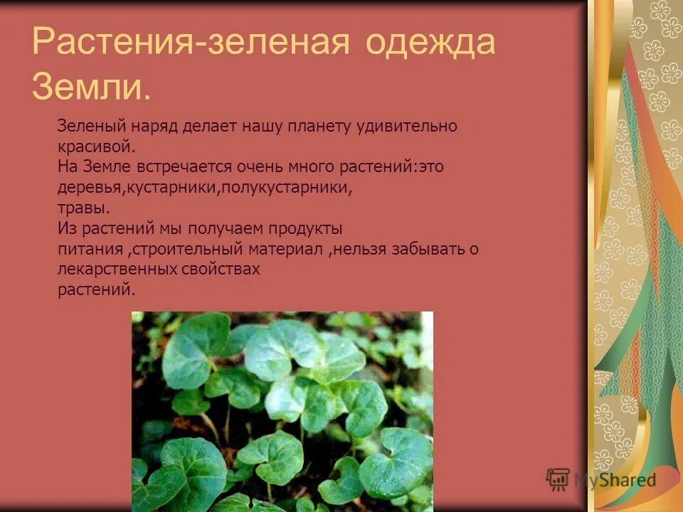 кенаф волокно. схема переработки технической конопли. растительные волокна лен. препараты из лекарственного растительного сырья. растения в промышленности.
