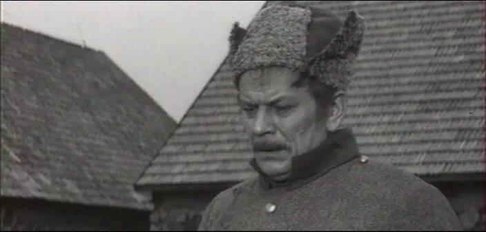 Красный камень (1971). Казимирас виткус. Эугения байорите. Каменный плен. Рандакявичюс, альфонсас бернардович.