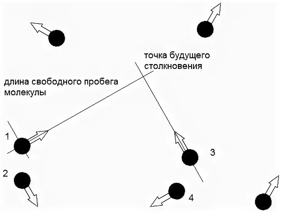 Глоссарий по биологической физике