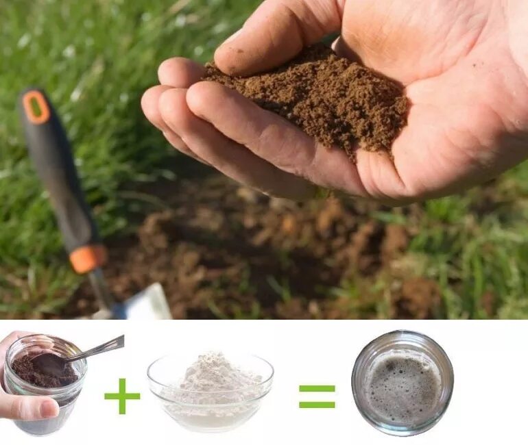 Какая почва на даче. Исследование почвы на участке. Определить кислотность почвы. Измерить кислотность почвы. Измерение кислотности почвы на даче.