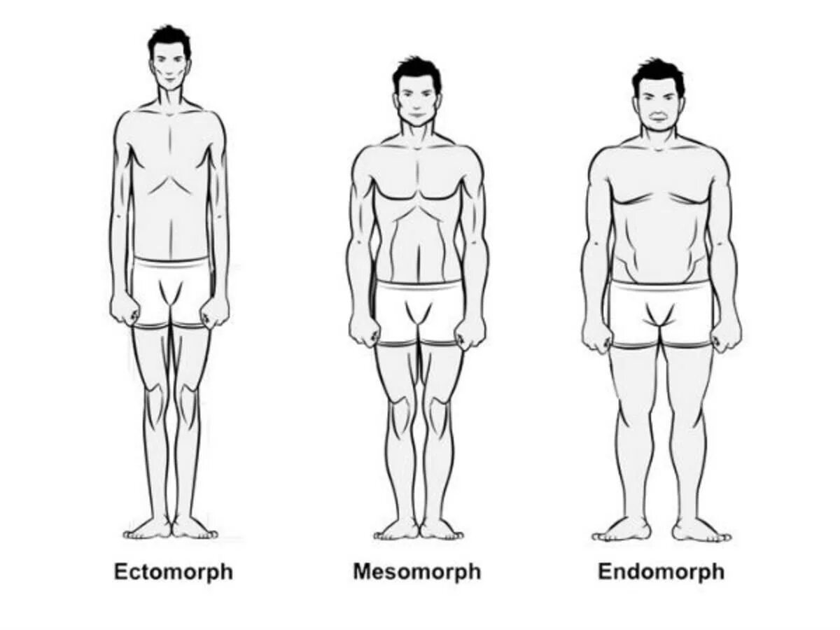 This type of body