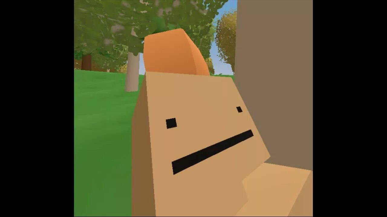 Unturned лица. Unturned ава. Unturned аватарка. Unturned мемы. Buak unturned