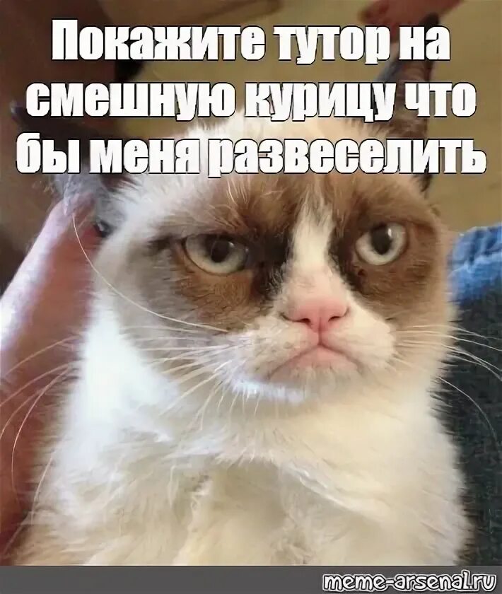 Повеселили картинки. Картинки чтобы развеселить человека. Как развеселить друга. Шутки про мужчин. Картинки развеселить.