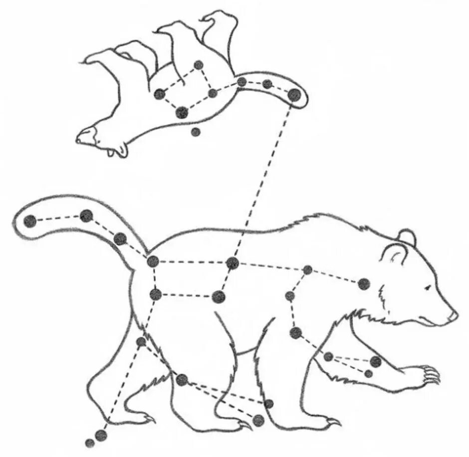 Созвездиемаоой медведицы схема. Созвездие большая Медведица и малая Медведица. Малая Медведица Созвездие схема. Созвездие большая Медведица схема созвездия. Соединить большую медведицу