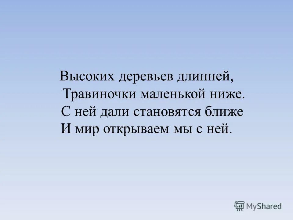 Высоких деревьев длинней