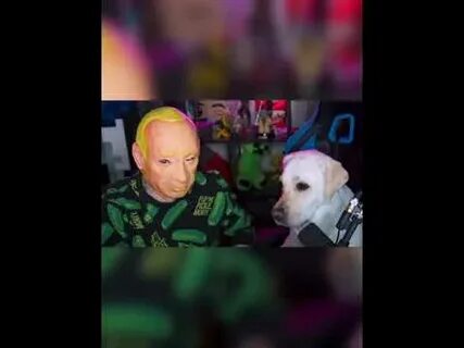 Песня ну че ты лысый плаки плаки
