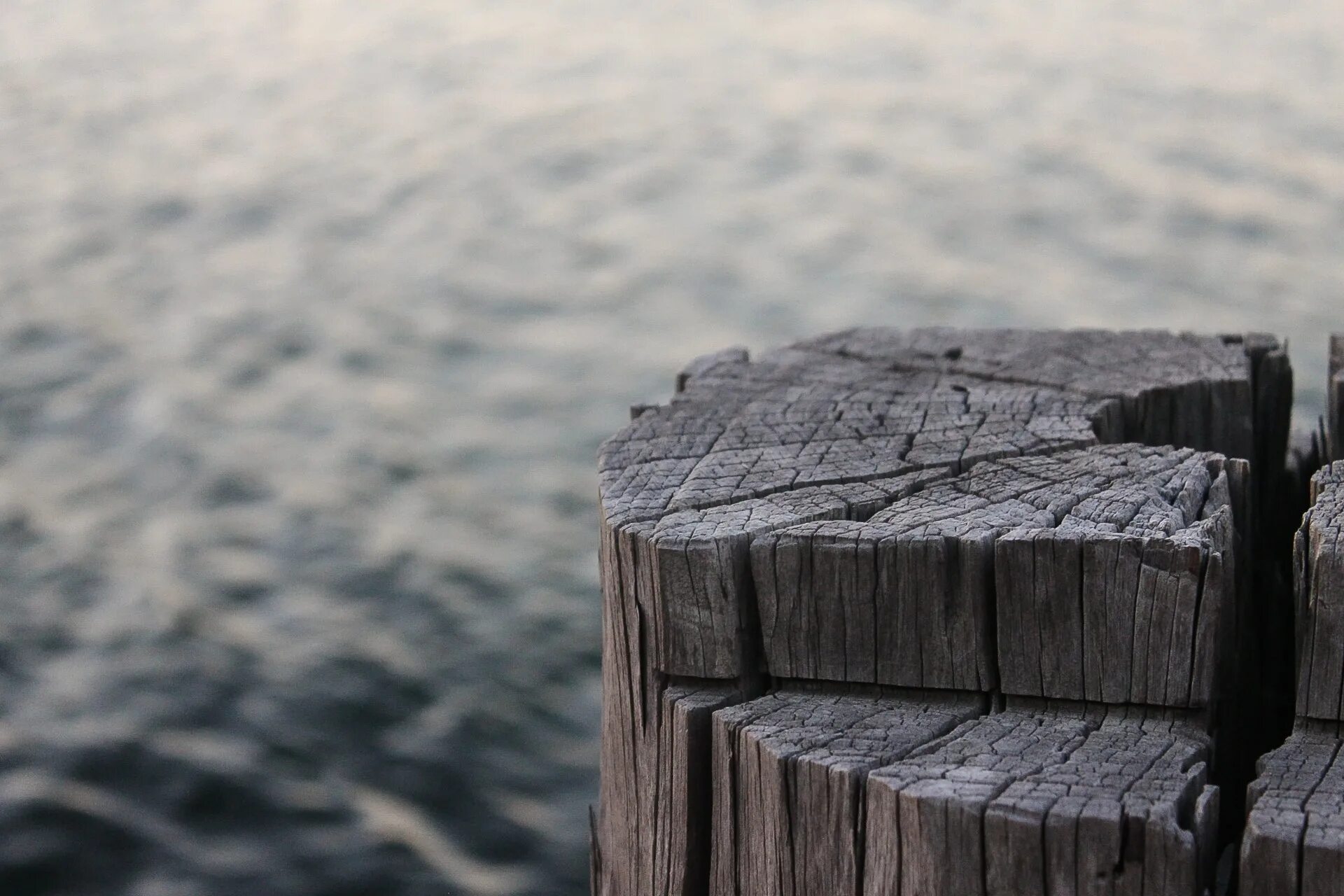 More wooden. Каменная стена в океане. Мокрые деревяшки на берегу моря Макросъемка. Обтертые морем деревяшки. Wood as вода.