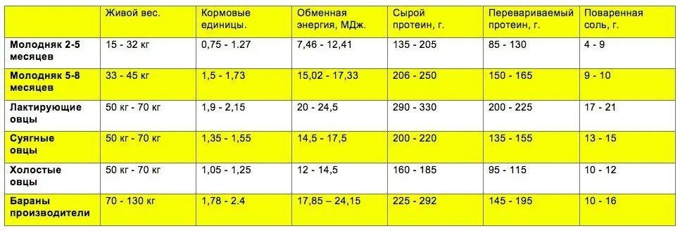 Норма кормления овец в сутки. Нормы кормления овец в сутки на 1 голову. Суточная норма корма для овец. Нормы кормления овец таблица. Сколько вес барана