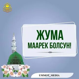 Жыныс машинасы