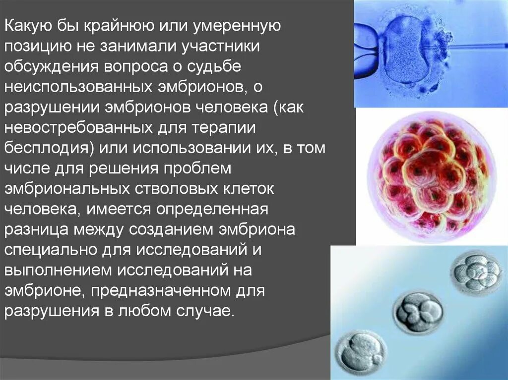 Эмбриональные стволовые клетки. Эмбриональных стволовых клеток. Стволовые клетки эмбриона. Эмбрион и эмбриональные стволовые клетки. Стволовые клетки в медицине.