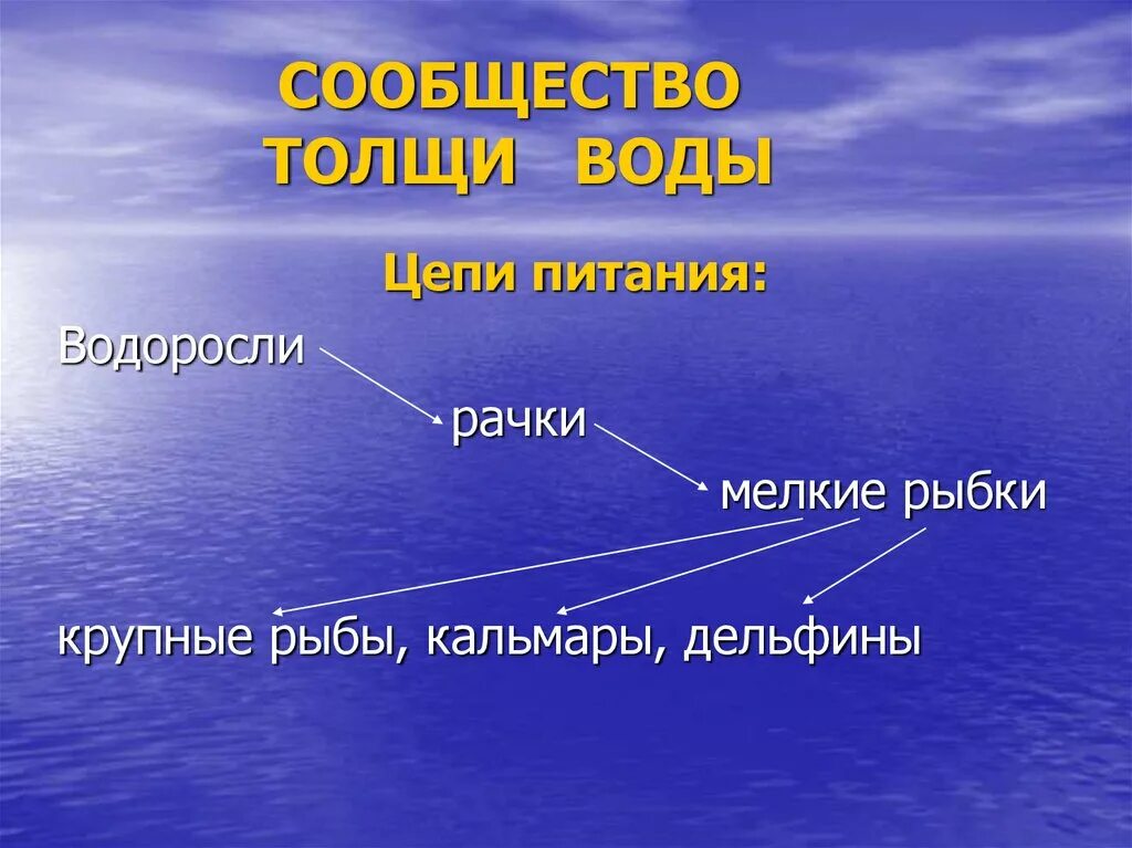 Сообщество толщи воды