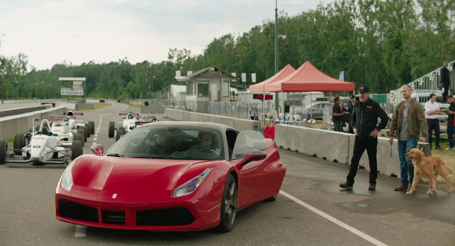 (сша, 2019). Невероятный мир глазами энзо. Невероятный энцо. Невероятный мир энцо. Невероятный мир глазами энцо (2019).