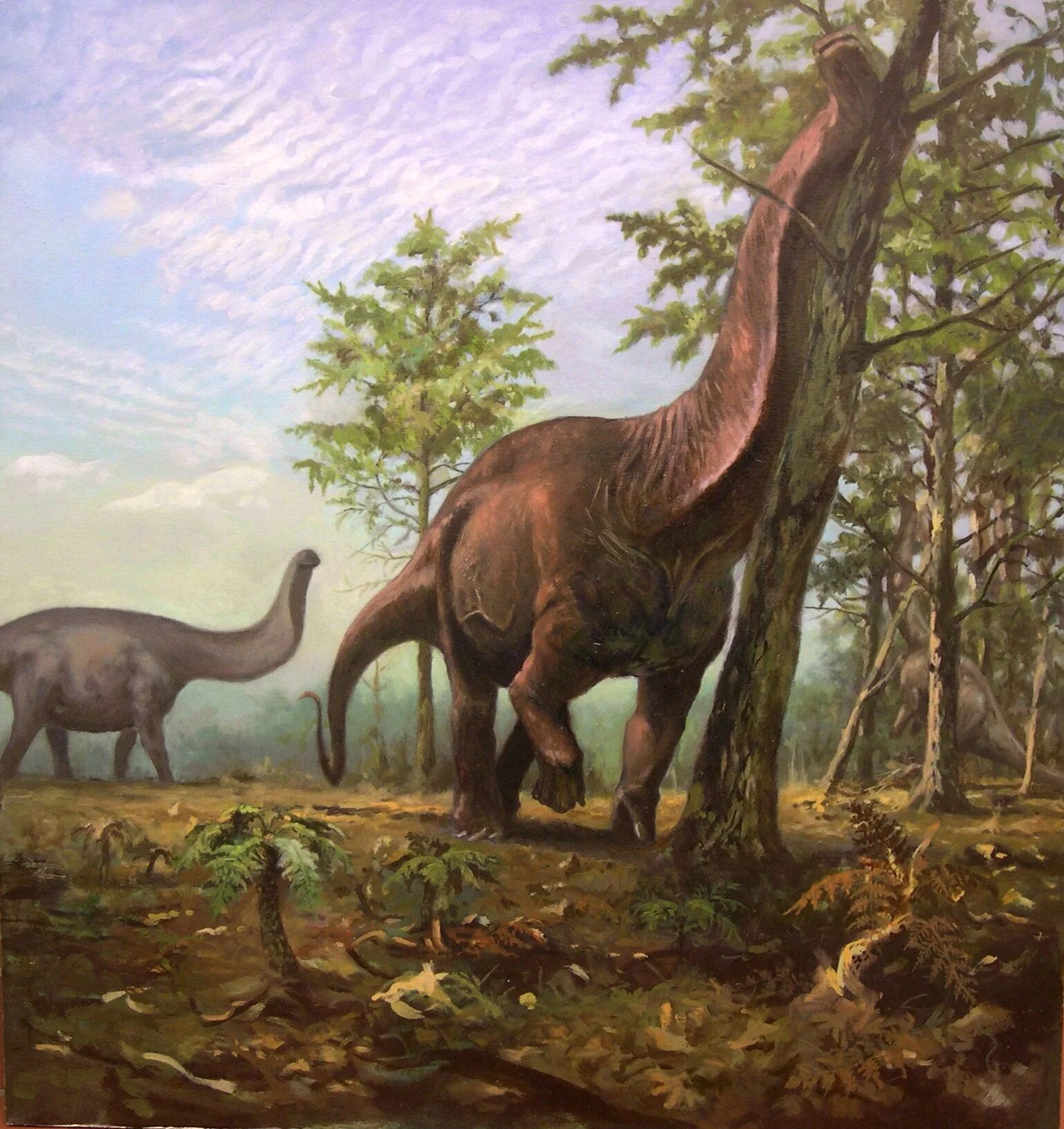 Зауроподы. Апатозавр Диплодок Бронтозавр. Травоядные динозавры зауроподы. Мезозойская Эра Брахиозавры. Динозавры художественный