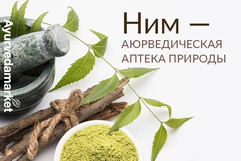 Чаванпраш ayurveda. Книга "каталог аюрведических препаратов". Каталог аюрведы. Аюрведический препарат каталог. Книга пракрити роберт свобода.