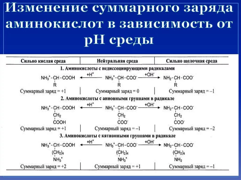 Суммарный заряд пептида. Изменение заряда пептида в зависимости от PH. Заряд аминокислот в разных средах. Аминокислоты в нейтральной среде.