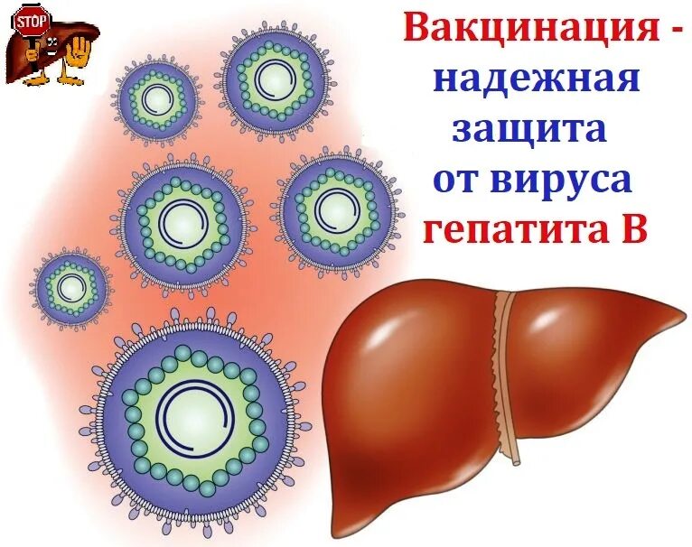 Гепатит б название. Гепатит картинки для презентации. Профилактика гепатита с. Гепатит презентация.