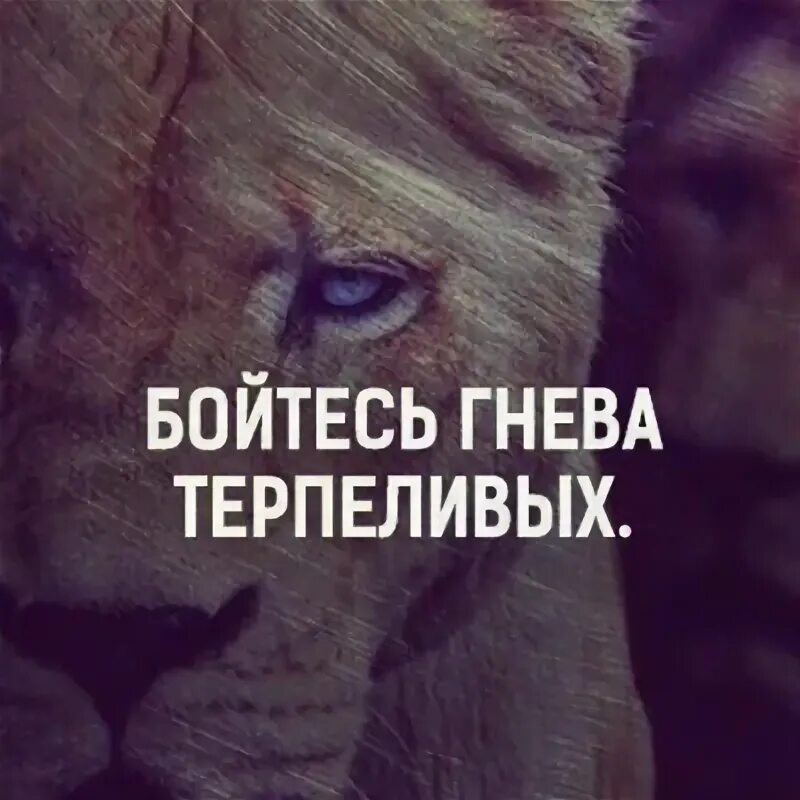 Бойтесь гнева терпеливых. Если человек не понял вашего молчания. Тот кто не понимает вашего молчания. Молчание это тоже ответ цитаты. Кто не понимает вашего молчания.