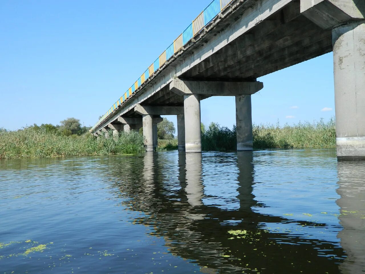 Р донца
