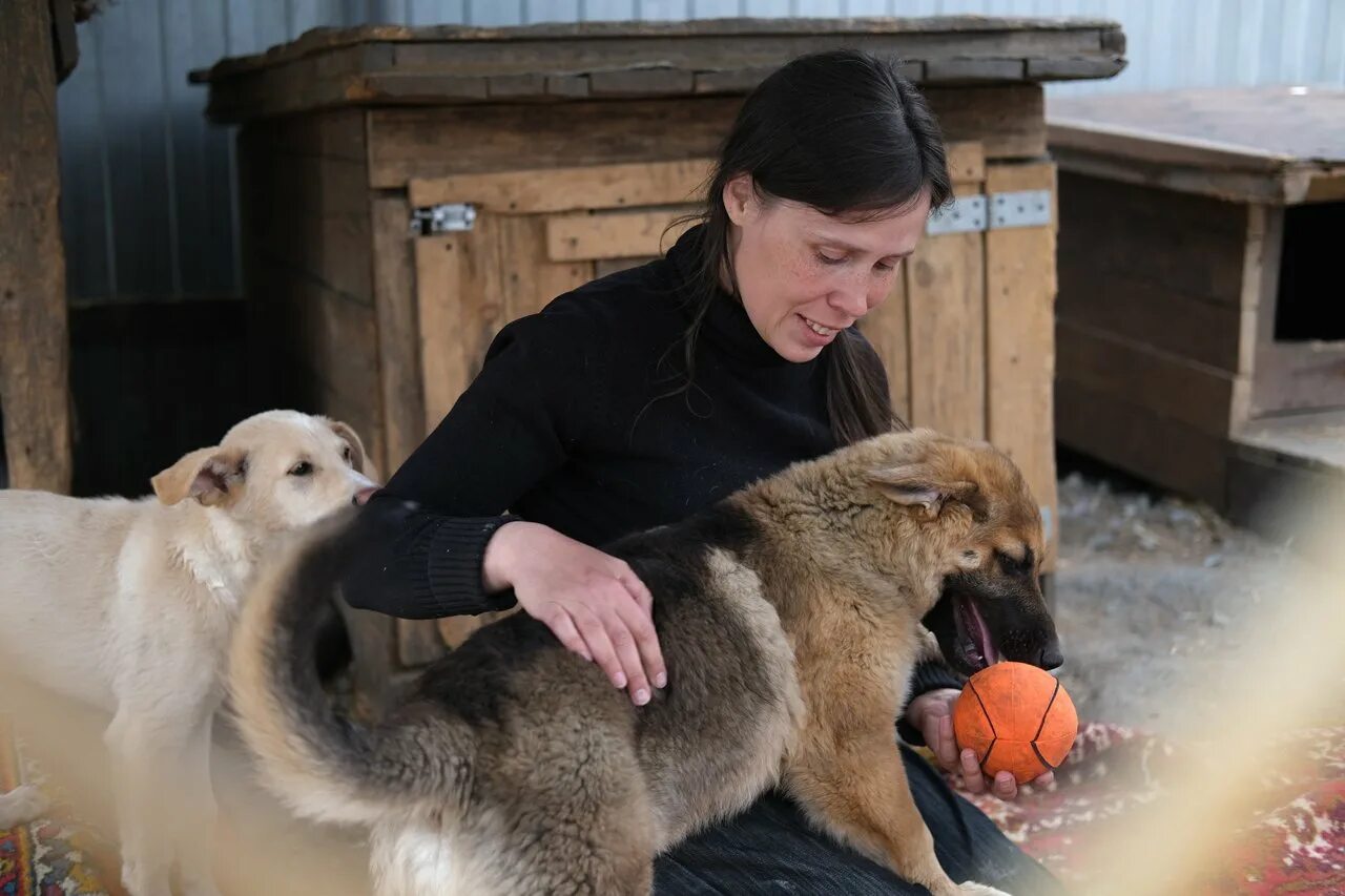 Животное из ревды. Фото парень с лабрадором. Приют для животных ревда. Ревда животные. Ревда животные.