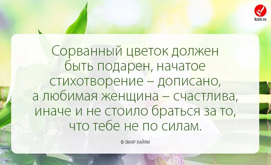 Высказывания про цвета. Высказывания о цветах. цветы для женщины цитаты. цитаты про цветы. цитаты про букеты и женщин.