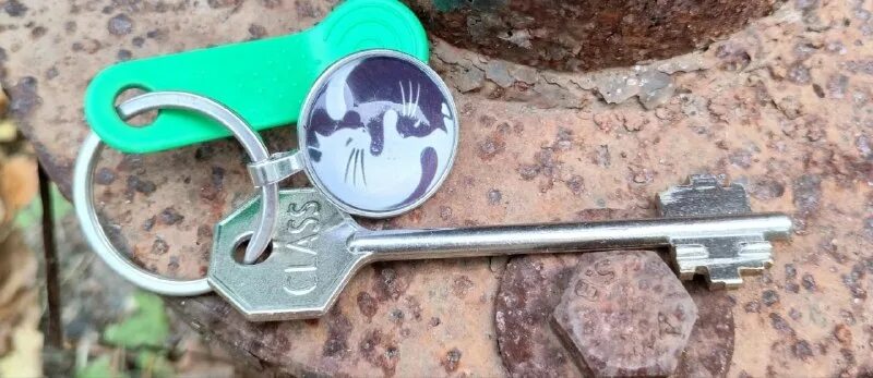 бывший не забрал ключи. забыл ключи от квартиры. связка ключей в руке. стихи про ключи от счастья. прикольные ключи.