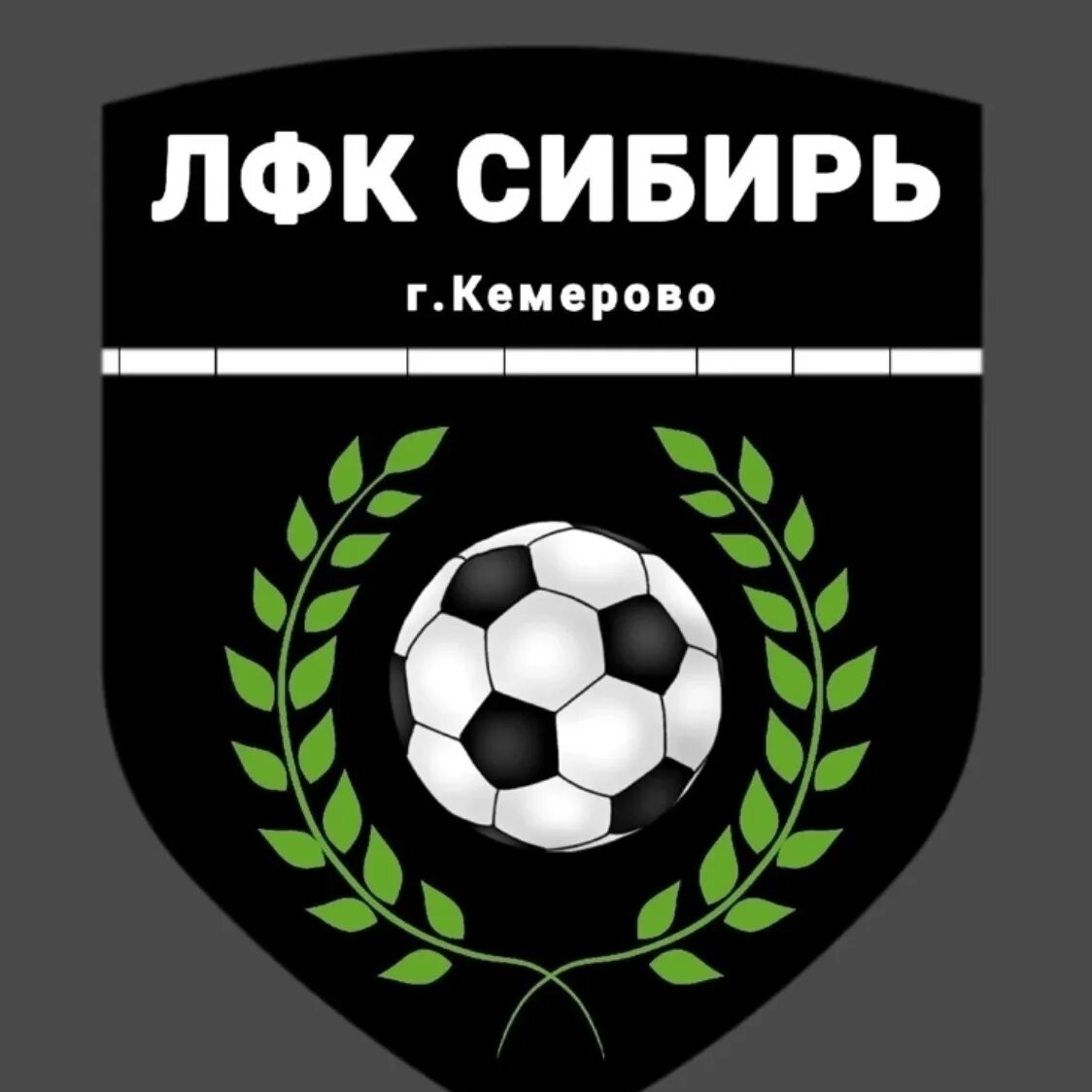 Лфк сибирь. Эмблема ЛФК. Nova logo.