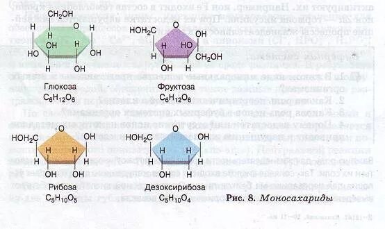 Глюкоза фруктоза сахароза рибоза. Глюкоза фруктоза рибоза дезоксирибоза. Глюкоза фруктоза рибоза мальтоза. Соединение Глюкоза фруктоза рибоза дезоксирибоза. Сахар рибоза