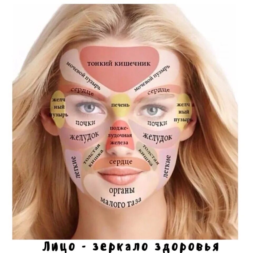 Прыщи какой орган страдает. Зоны органов на лице. Прыщи на лице по зонам. Проекция органов на лице. Зоны появления прыщей на лице.