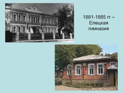 Гимназия ельца