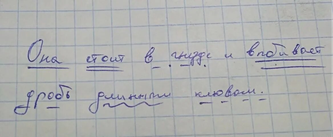 4 синтаксический разбор предложения впр 7 класс. Клювом синтаксический разбор. Клювом синтаксический разбор предложения. Она стоит в гнезде и выбивает дробь длинным клювом синтаксический. Синтаксический разбор она стоит в гнезде клювом.