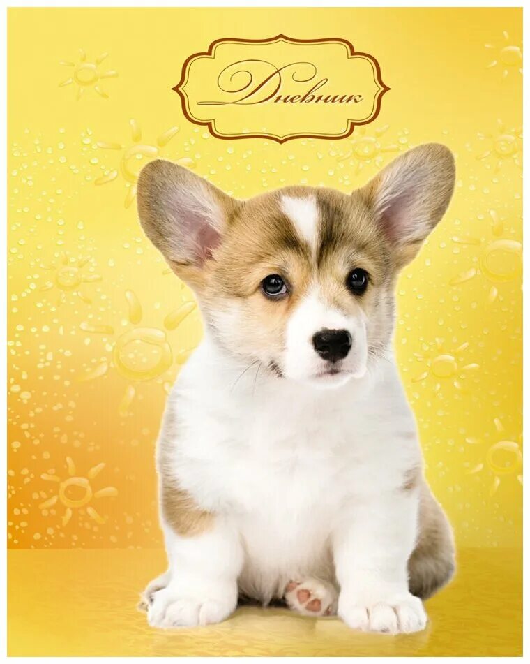 тетрадь щенок. общая тетрадь щенок. тетрадь щенок. тетради с щенками. нотная тетрадь с котенком.