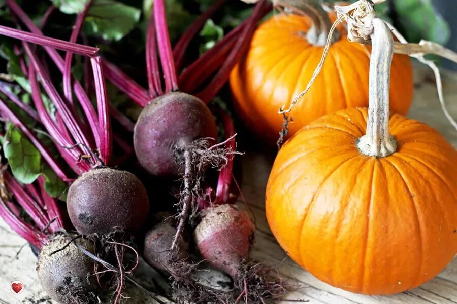 тыква морковь лук. тыква морковь. Ovo. тыква морковь. свекла и тыква.