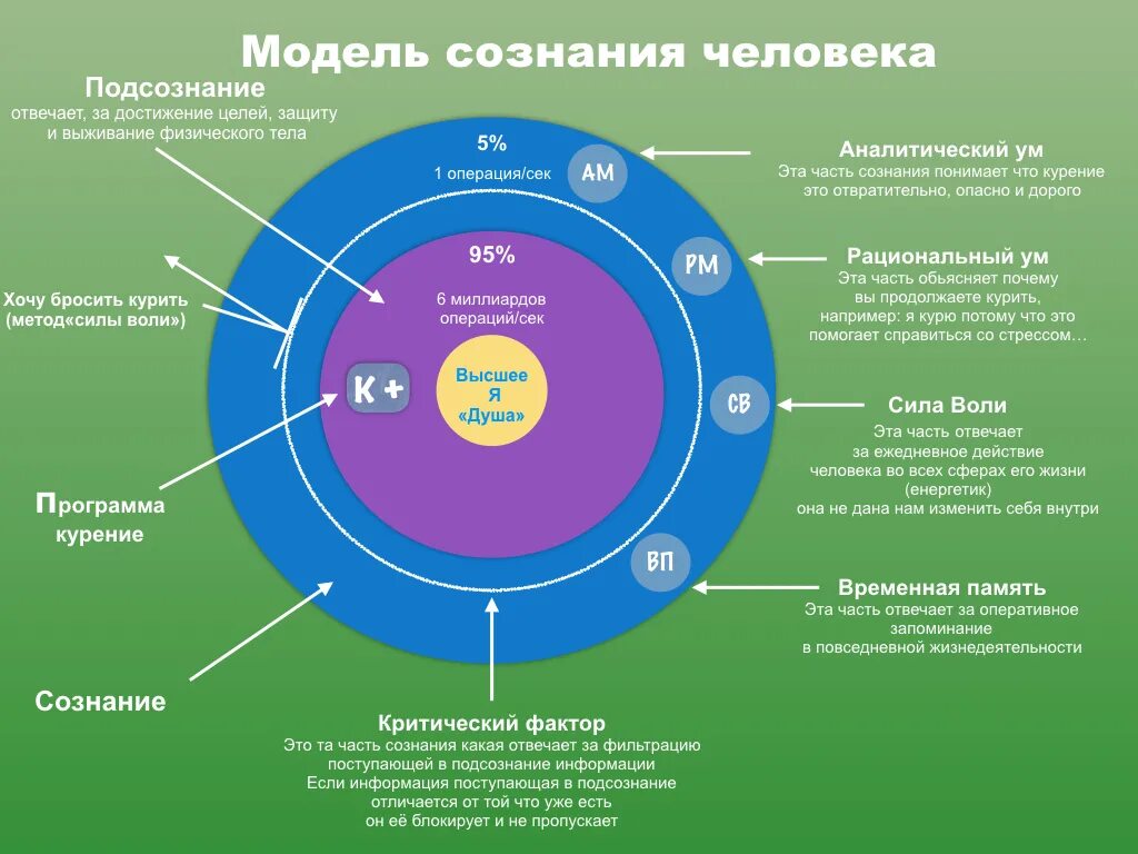 Структура сознания и подсознания. Уровни сознания и подсознания. Сознание и подсознание. Структура подсознания человека. Как устроен другой человек