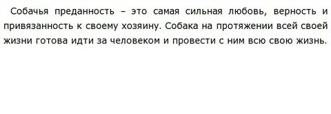 Преданность собаки сочинение