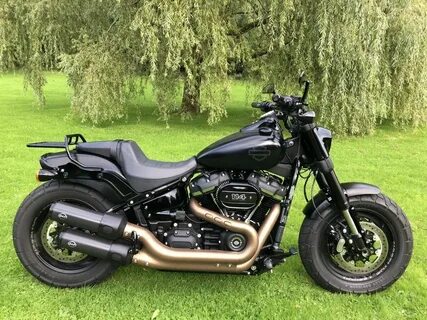 Harley davidson bob