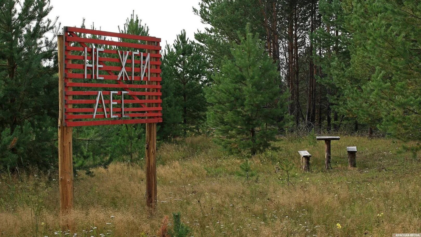 Почему закрыли лесную. Противопожарные аншлаги в лесу. Посещение лесов запрещено. Запрет на посещение лесов. Въезд в лес.