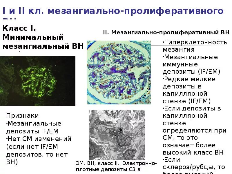 Электронно плотный