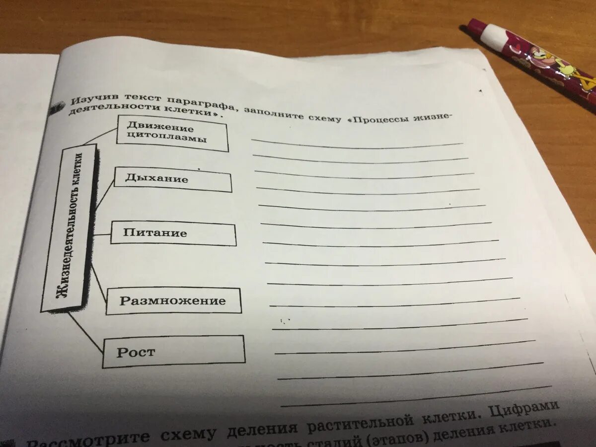 Прокомментируйте опираясь на текст параграфа первый. Заполните схему жизнедеятельность клетки. Изучите текст параграфа процессы жизнедеятельности клетки.