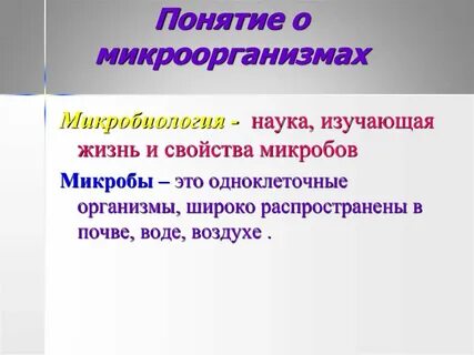 Термин бактерия