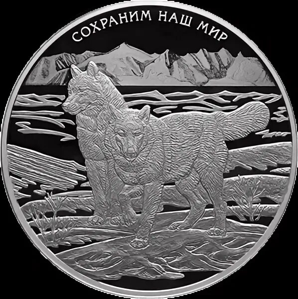 Полярный волк монета. Полярная волчица зоопарк. Зоосад сысоева хабаровск в мире животных. Монета полярный волк 2020 серебро. Колонии no 3 полярный волк.