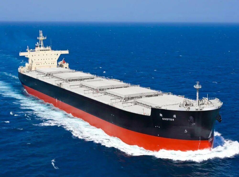 Cargo Vessel сухогруз. Bulk Carrier сухогрузы. New Panamax балкер. Сухогруз 4600 DWT.