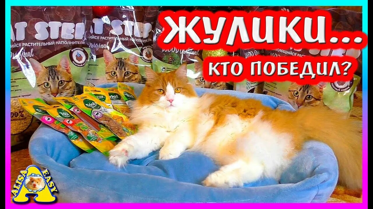 Easy pets. Алиса ИЗИ. Вася Алисы ИЗИ петс. Корм Алиса ИЗИ петс. Алиса ИЗИ петс товары.