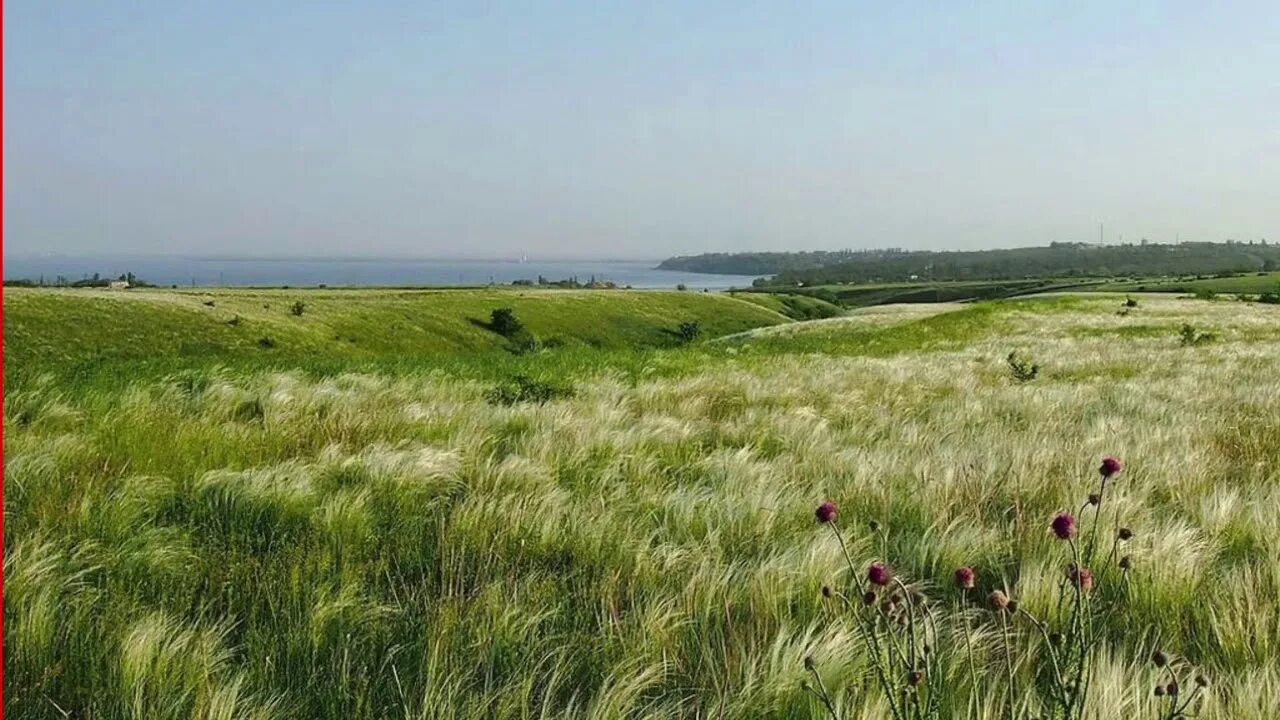 Степи тамани. Донская степь Ростовская область. Донские степи Ростовской области. Донская степь Дон река. Донские степи Волгоградской области.