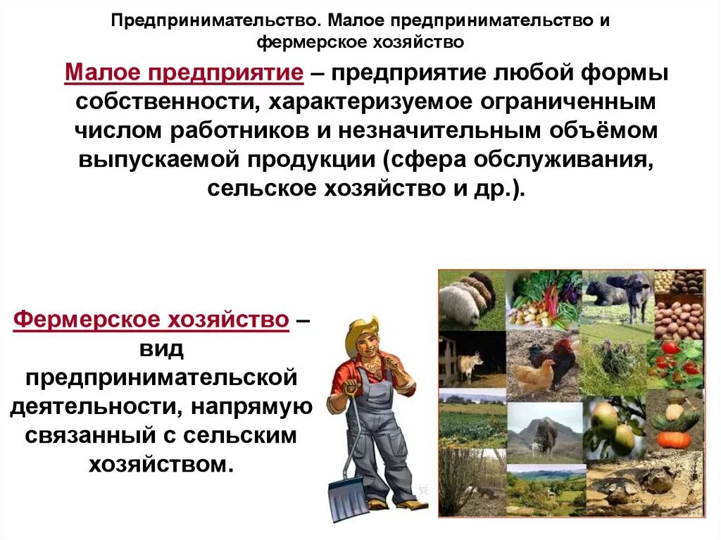 Тема малое предпринимательство. Малое предпринимательство. малое предпринимательство и фермерское хозяйство. фермерское хозяйство это в обществознании. малый бизнес обществознание.