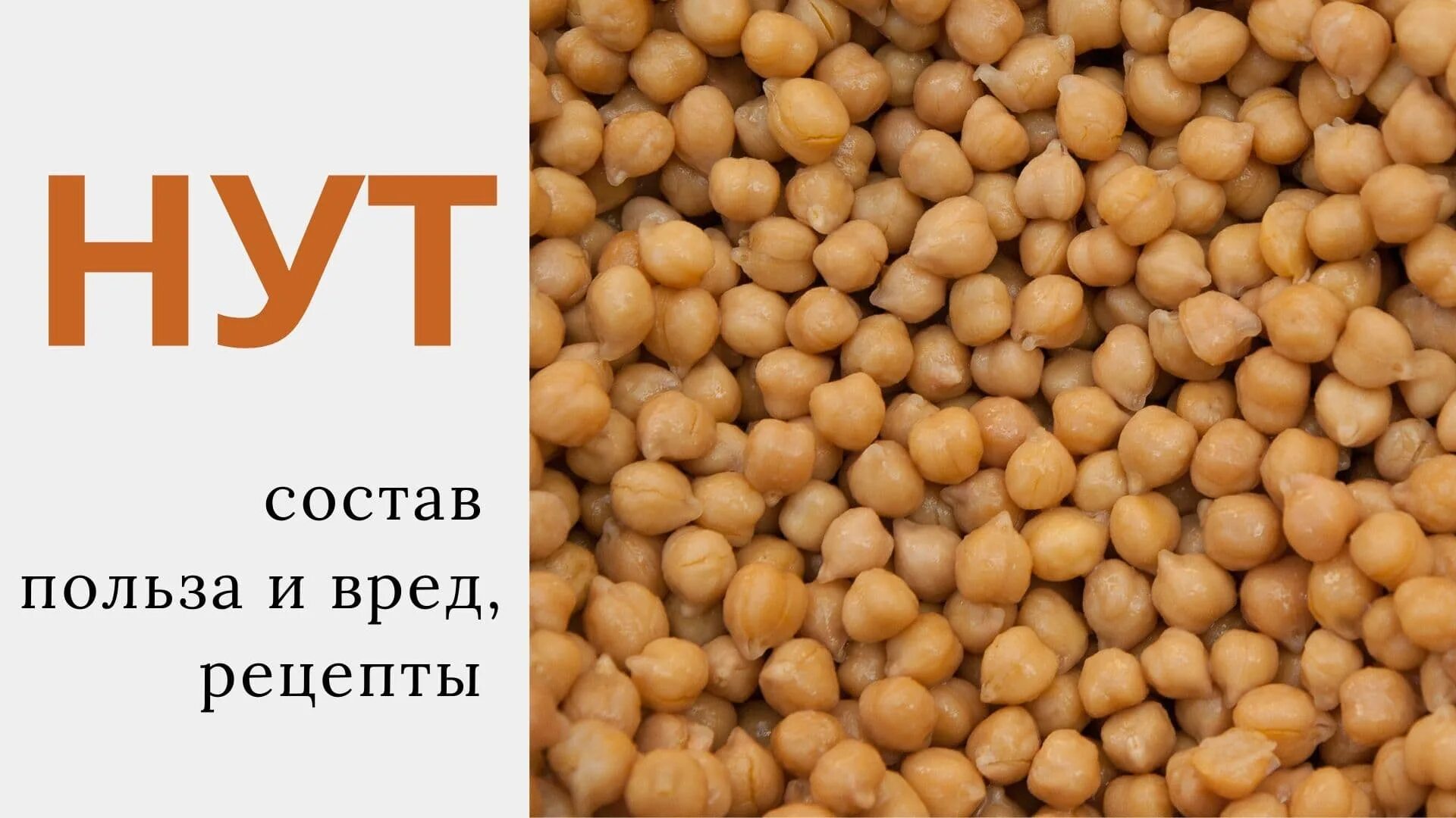 Горох польза и вред для организма. Нут. горох. турецкий горох нут полеззно. турецкий горох нут полезно.